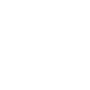 camion camion