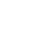 camioneta-icon camioneta-icon